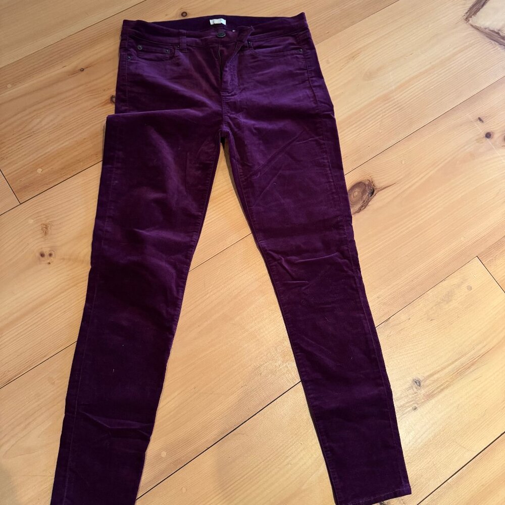 Women's Size 30 Velour Straight Leg Pants